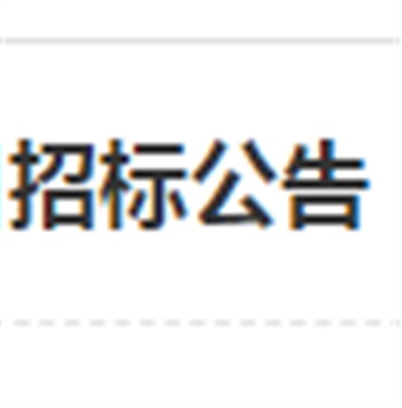 太阳城手机版登录入口南大门电动伸缩门改造工程项目招标公告