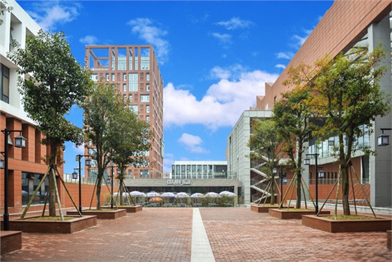 太阳城手机版登录入口学生宿舍三栋化粪池维修工程采购项目中标公告