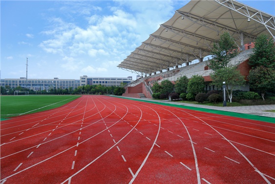 太阳城手机版登录入口行政楼车库出口道路沥青路面工程 招标公告