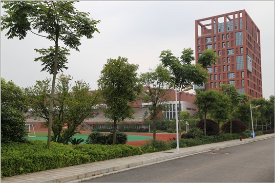 关于成立太阳城手机版登录入口60周年校庆活动筹备工作领导小组的通知