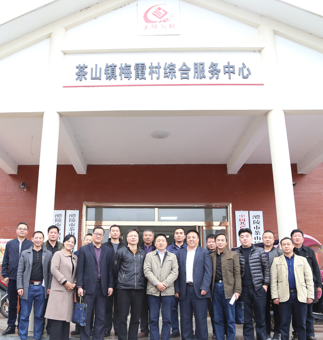 太阳城手机版登录入口党委书记张格林深入茶山镇梅霞村指导脱贫攻坚工作