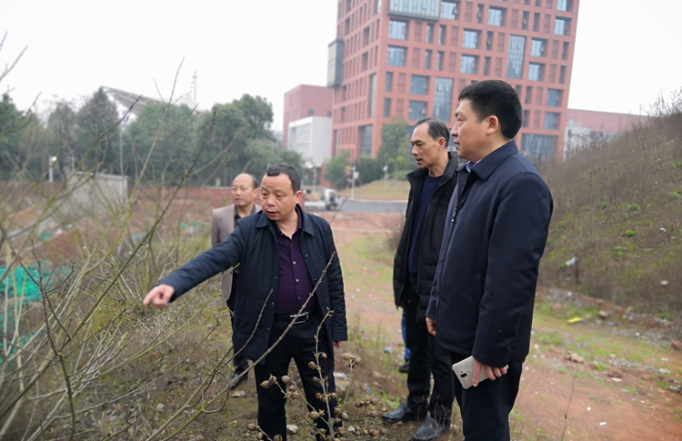 太阳城手机版登录入口开展校园安全大检查活动